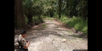 Pekerjaan Pembangunan Jalan dan Talud Aceh Singkil Dari Aspirasi DPRA Tak Sesuai Di LPSE