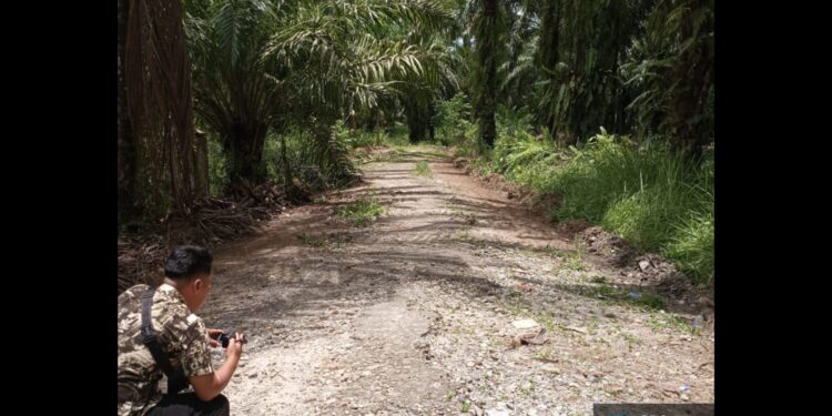Pekerjaan Pembangunan Jalan dan Talud Aceh Singkil Dari Aspirasi DPRA Tak Sesuai Di LPSE