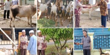 PT. BSL Serahkan Hewan Qurban Di Lima Desa dan Pasantren Di Kota Sebulusalam