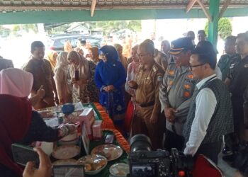 Pj Bupati Resmikan Layanan Sehat Gratis (SEHATI) Di Pengadilan Negeri Aceh Singkil