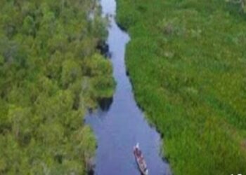 Pesona Lae Treup Rawa Singkil Menjadi Salah Satu lokasi Wisata Unggulan D Aceh Singkil.