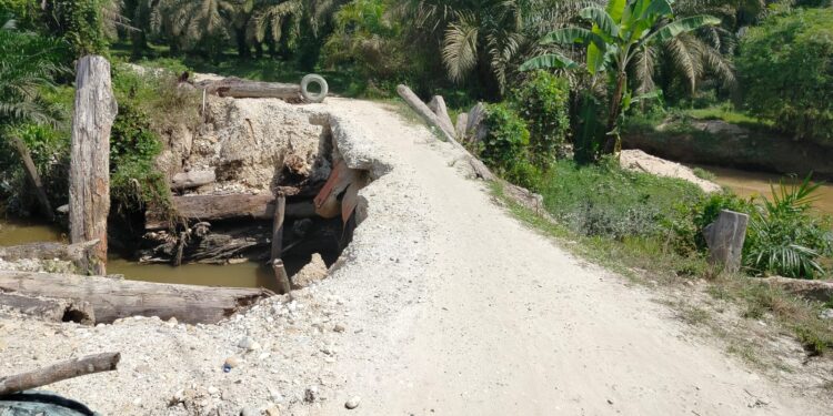 Jebol Jembatan Jalan Lintas Kecamatan, Ini Kata Perusahaan Perkebunan PT.Nafasindo Aceh Singkil