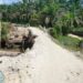 Jebol Jembatan Jalan Lintas Kecamatan, Ini Kata Perusahaan Perkebunan PT.Nafasindo Aceh Singkil