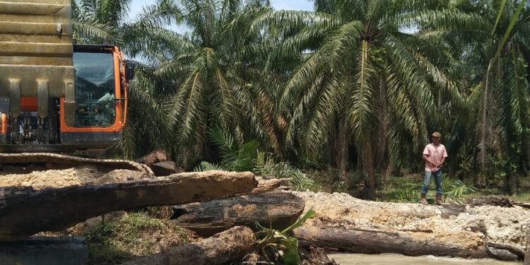 Perusahaan Perkebunan PT.Nafasindo, Aceh Singkil. Perbaikan Badan Jembatan Dan Jalan Nyaris Putus