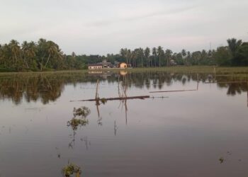 Akses Jalan Dusun Lam Kuta Gampong Ladang, Aceh Barat. Tenggelam Dilanda Banjir.