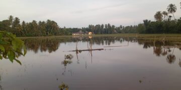 Akses Jalan Dusun Lam Kuta Gampong Ladang, Aceh Barat. Tenggelam Dilanda Banjir.