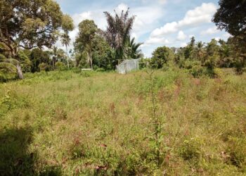Kelompok Wanita Tani (KWT), Gampong Ladang, Aceh Barat. Buka Lahan Pertanian Bawang Merah.