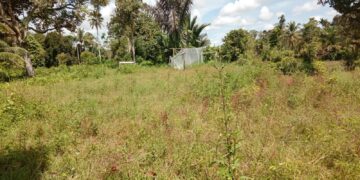 Kelompok Wanita Tani (KWT), Gampong Ladang, Aceh Barat. Buka Lahan Pertanian Bawang Merah.
