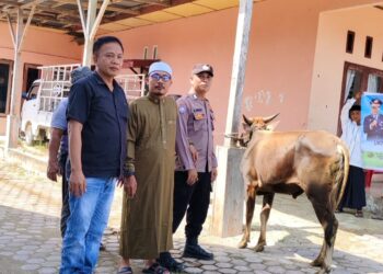 Kapolres Aceh Singkil Berikan Hewan Kurban Satu Ekor Sapi Kepada Pondok Pasantren Al Hafiz Rizqullah