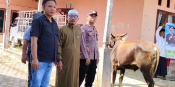 Kapolres Aceh Singkil Berikan Hewan Kurban Satu Ekor Sapi Kepada Pondok Pasantren Al Hafiz Rizqullah