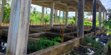 Menelan Anggaran Negara 4 Milyar, Proyek Pembangunan UPTD Puskesmas Singkil Tahun 2017 Berakhir Mangkrak,