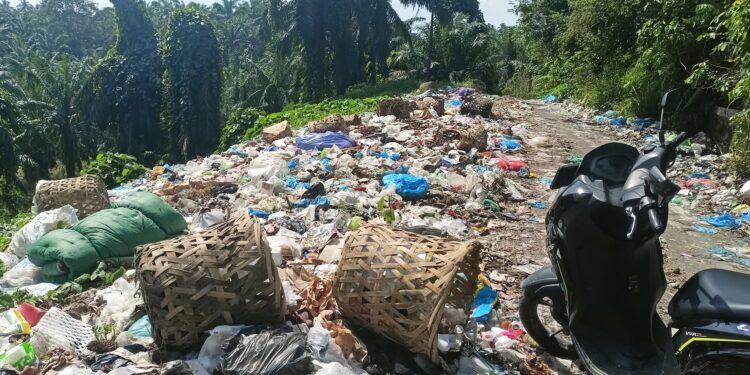 LSM TIPAN-RI Desak Pemerintah Aceh Singkil, Segera Melakukan Tindakan Nyata Secara Rutin Dalam Penanganan Sampah
