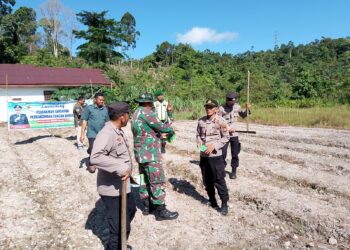Untuk Memperkuat Ketahanan Pangan Desa Pangkalan Sulampi Gelar Lounching Penanaman Pangan Bergizi