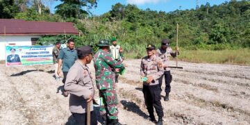 Untuk Memperkuat Ketahanan Pangan Desa Pangkalan Sulampi Gelar Lounching Penanaman Pangan Bergizi