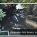 DLHK Aceh Singkil Umumkan Hasil Lab Limbah PT Nafasindo, YARA Soroti Kejanggalan‎
