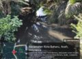 Ribuan Ikan Mati di Sungai Gombar, Warga Aceh Singkil Kehilangan Mata Pencaharian