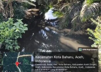 Ribuan Ikan Mati di Sungai Gombar, Warga Aceh Singkil Kehilangan Mata Pencaharian