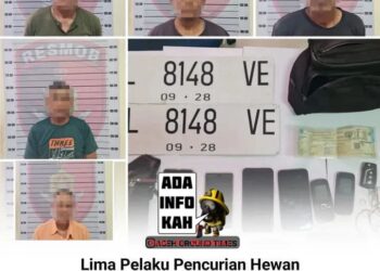 Polres Aceh Selatan Tangkap Lima Pelaku Pencurian Ternak‎