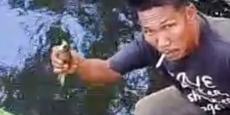 Ribuan Ikan Mati Tercemar Limbah PKS di Sungai Lae Gombar, Nelayan Terancam Kehilangan Mata Pencaharian