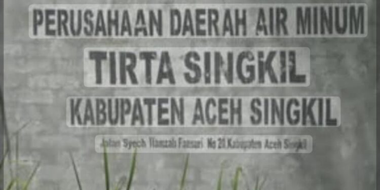 BPK Bongkar Masalah Subsidi PDAM Aceh Singkil, Direktur Akui Ada Temuan