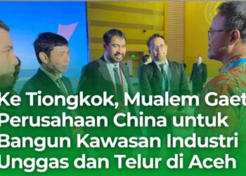 Gubernur Aceh Gaet Investor Tiongkok Bangun Kawasan Industri Unggas Berteknologi Tinggi
