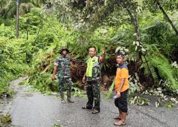 Longsor Besar di Lipat Kajang Putuskan Jalan Provinsi Rimo–Lipat Kajang Atas, Kendaraan Terpaksa Dialihkan ke Jalur Alternatif
