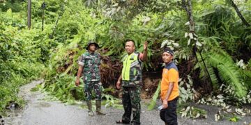 Longsor Besar di Lipat Kajang Putuskan Jalan Provinsi Rimo–Lipat Kajang Atas, Kendaraan Terpaksa Dialihkan ke Jalur Alternatif