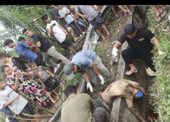 Kecelakaan Maut di Mandumpang, Truk Lindas Dua Pengendara Sepeda Motor hingga Tewas‎