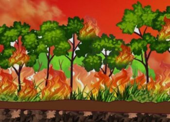 Gambut Singkil Utara Membara: Konsesi PT Delima Makmur Terbakar, Negara Berpotensi Rugi Besar‎