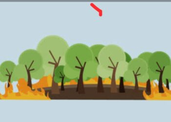 Api di Konsesi PT Delima Makmur: Kebakaran Gambut Uji Nyali Penegakan Hukum