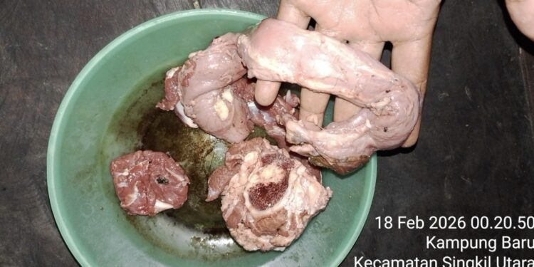 Miris! Daging Meugang Diduga Busuk Beredar di Singkil Utara, AMPAS Desak Transparansi Pengadaan