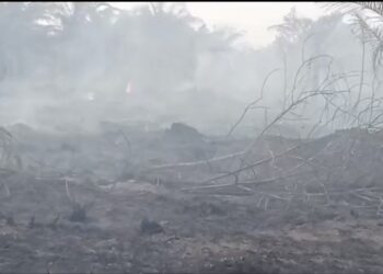 Saat Gambut Menjadi Sumur Asap dan Nafas Warga Dipertaruhkan