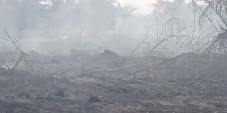 Saat Gambut Menjadi Sumur Asap dan Nafas Warga Dipertaruhkan