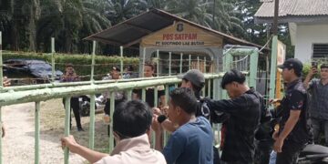 Goyang Pagar di Socfindo,Pemuda Lae Butar Meledak, Tuntut Plasma hingga Janji Ternak yang Menguap‎
