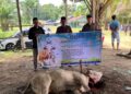 Gema Takbir di Tapal Batas,Tangis Haru dan Bahagia Warga Lae Balno Sambut Qurban dari Forum Dakwah Perbatasan