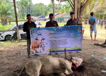 Gema Takbir di Tapal Batas,Tangis Haru dan Bahagia Warga Lae Balno Sambut Qurban dari Forum Dakwah Perbatasan