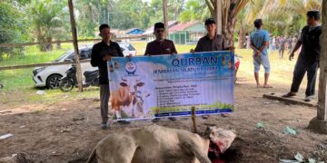 Gema Takbir di Tapal Batas,Tangis Haru dan Bahagia Warga Lae Balno Sambut Qurban dari Forum Dakwah Perbatasan
