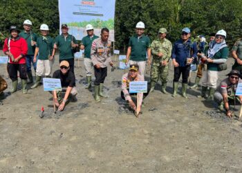 Benteng Hijau Pesisir Singkil, Pemkab dan PT PLB Tanam 3.000 Bibit Mangrove di Hari Mangrove Sedunia‎
