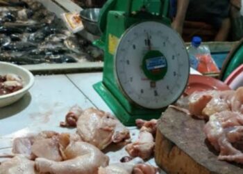 Warga Subulussalam Menjerit, Harga Ayam Potong Tembus Rp50 Ribu per Kilogram‎