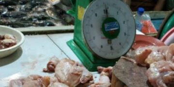 Warga Subulussalam Menjerit, Harga Ayam Potong Tembus Rp50 Ribu per Kilogram