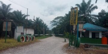 Disiksa Bau Limbah PT GSS Setiap Hari, Warga Lae Kombih Subulussalam Sesak Napas dan Ancam Kesehatan Anak-Anak