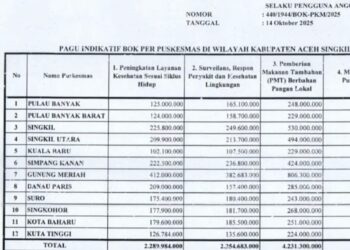DUGAAN TAK TRANSPARAN, Anggaran PMT Rp 4,2 Miliar di 12 Puskesmas Aceh Singkil Jadi Sorotan‎