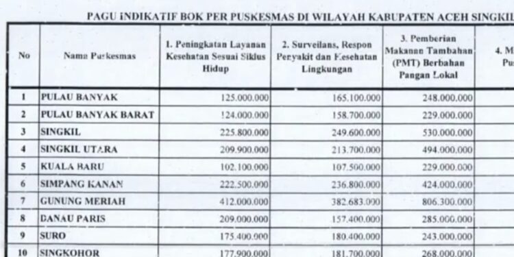 DUGAAN TAK TRANSPARAN, Anggaran PMT Rp 4,2 Miliar di 12 Puskesmas Aceh Singkil Jadi Sorotan